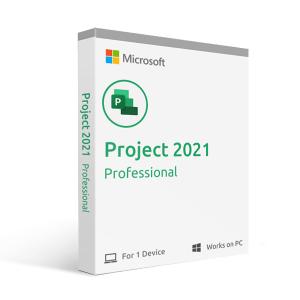 Projekt 2021 Professional