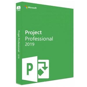Projekt Professional 2019